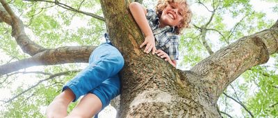 Junge in Jeans klettert auf Baum.