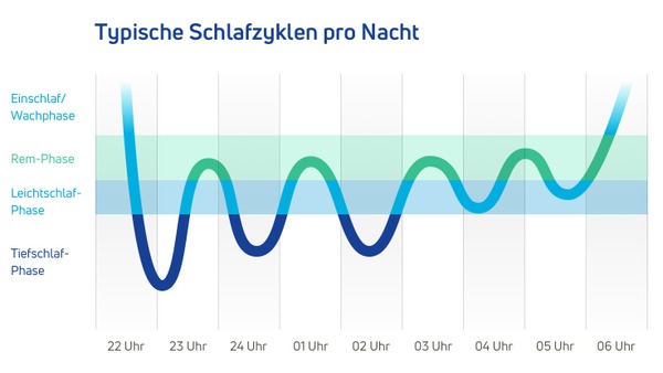 Infografik Schlafzyklen und Schlafphasen