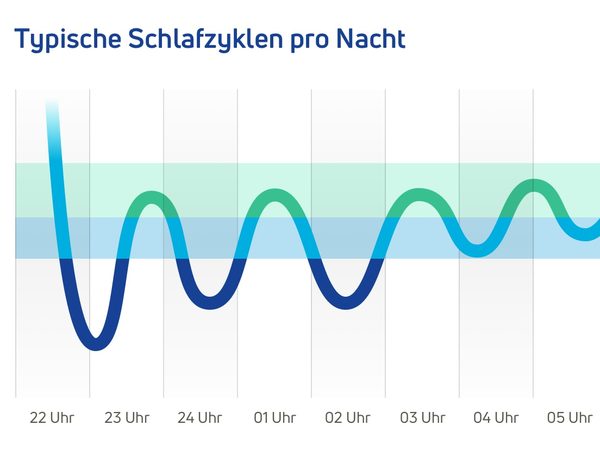 Infografik zu typischen Schlafzyklen