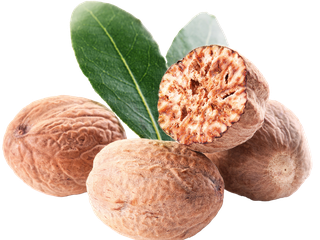 Bild von Myristica fragrans auch bekannt als Muskatnuss