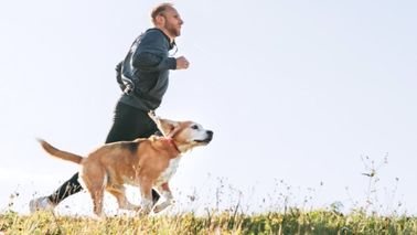 Mann joggt mit seinem Hund im Freien über eine Wiese - Bewegung stärkt die Persönlichkeit