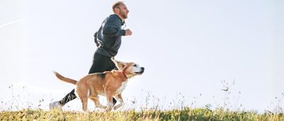 Mann joggt mit seinem Hund im Freien über eine Wiese - Bewegung stärkt die Persönlichkeit