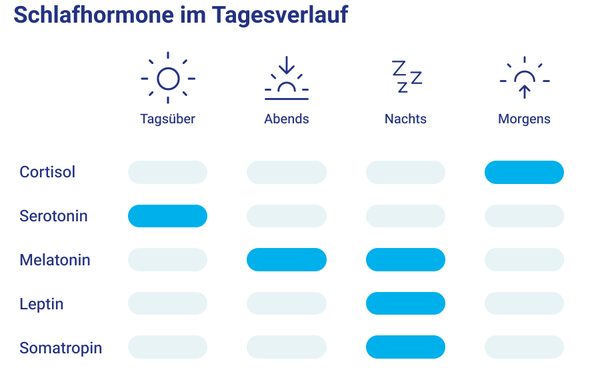 Infografik mit allen Schlafhormonen im Überblick