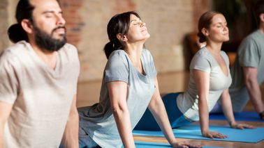 Yoga-Gruppe in Kobra-Position.