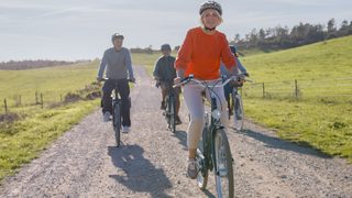 Im Zentrum: das Gleichgewichtsorgan