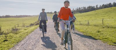 Im Zentrum: das Gleichgewichtsorgan