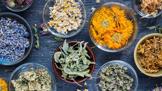 Verschieden beruhigende Kräuter