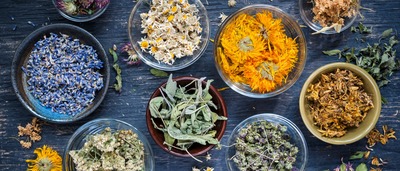 Verschieden beruhigende Kräuter