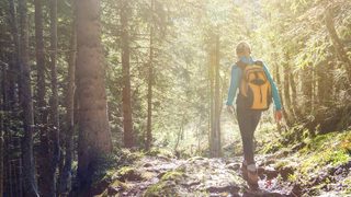 Frau wandert im Wald.
