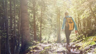 Frau wandert im Wald.