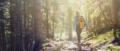 Frau wandert im Wald.
