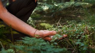 Frau nimmt den Wald bewusst wahr