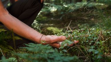 Frau nimmt den Wald bewusst wahr