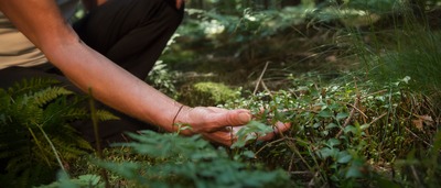 Frau nimmt den Wald bewusst wahr