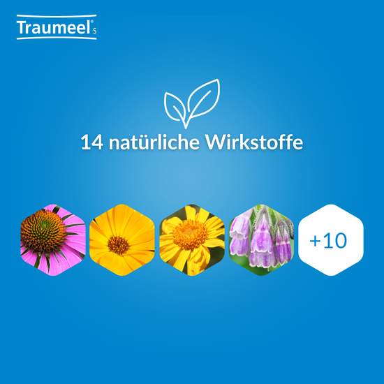 Traumeel - 14 natürliche Wirkstoffe