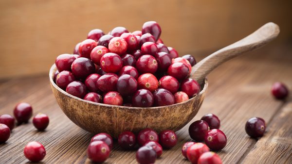 Cranberries in einer Schüssel als natürliches Lebensmittel für Blasengesundheit.