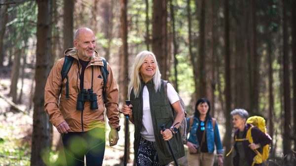Freunde gehen regelmäßig Waldbaden