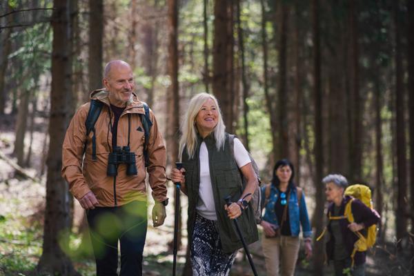 Eine Gruppe von Menschen wandert gemeinsam durch einen Wald