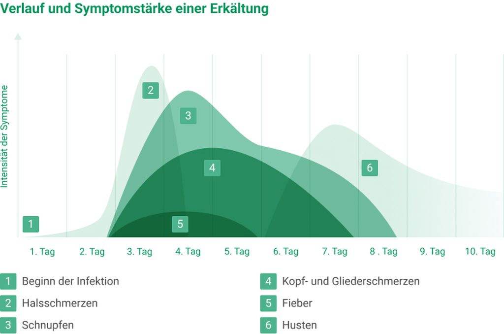Grafische Darstellung - Verlauf und Symptomstärke einer Erkältung