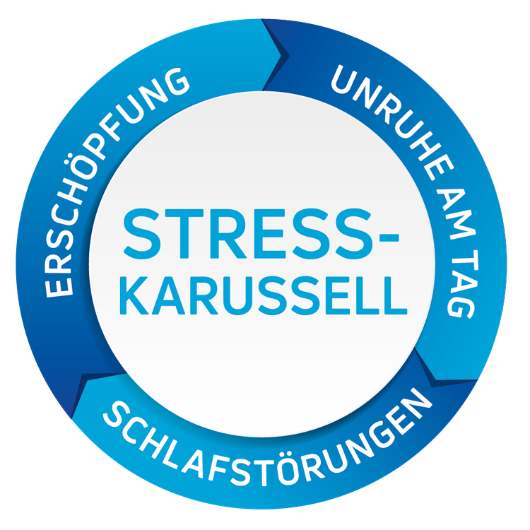 Grafische Darstellung des Stresskarussells