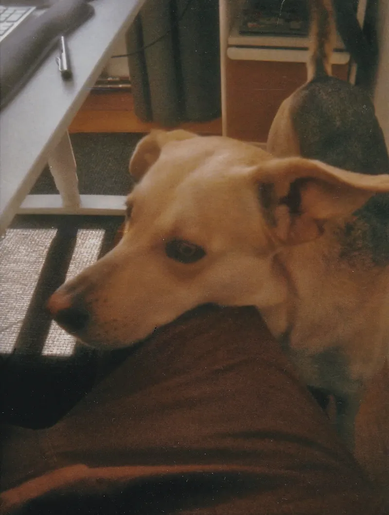 dorfjungs-team-analogbilder_2