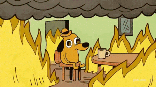 this is fine gif hund im brennenden haus