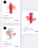 fakebake-4x5-ProductCards@2x