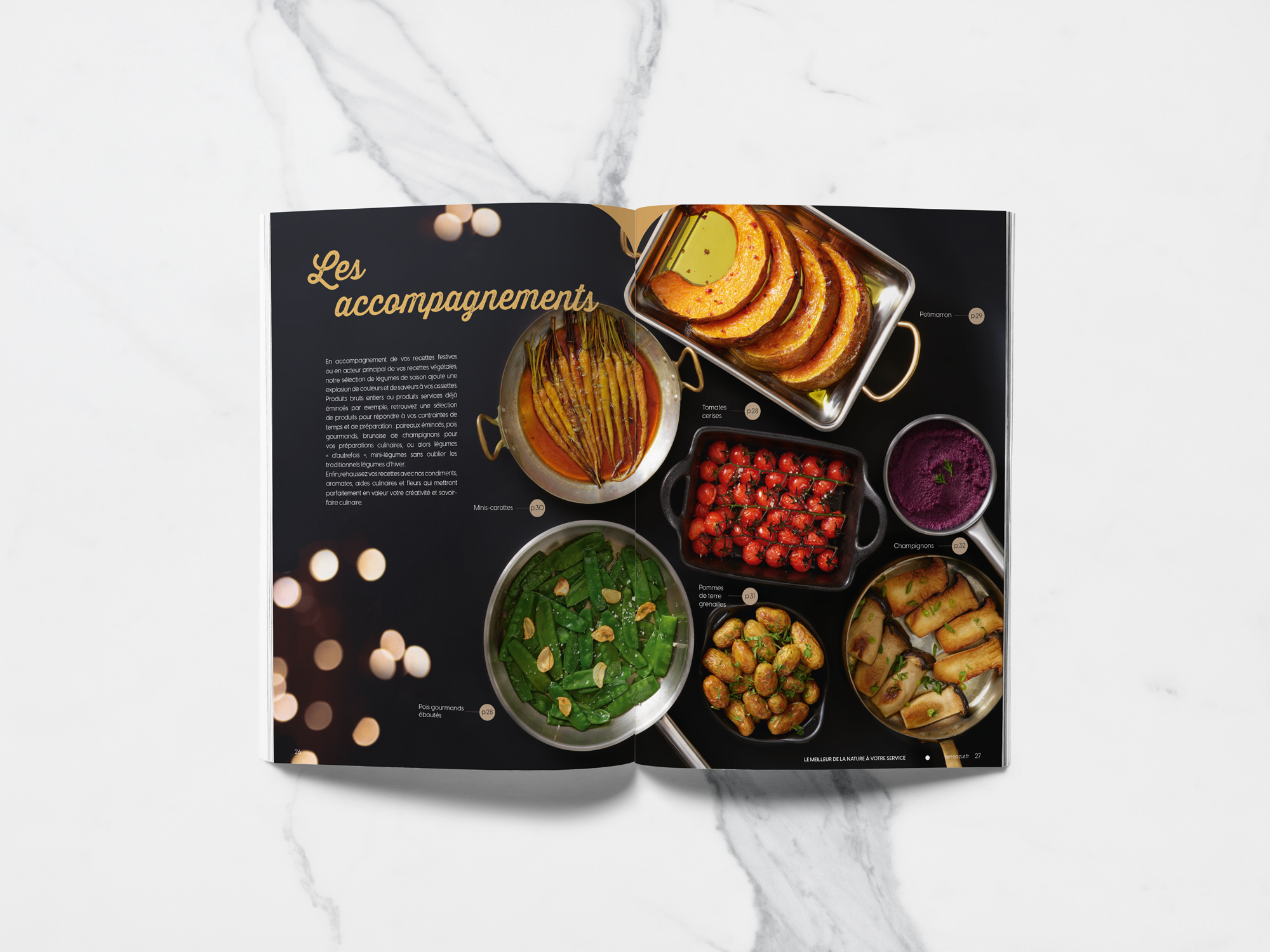 L'agence Bee Happy accompagne TerreAzur depuis plusieurs années sur des sujets de création print et digital.