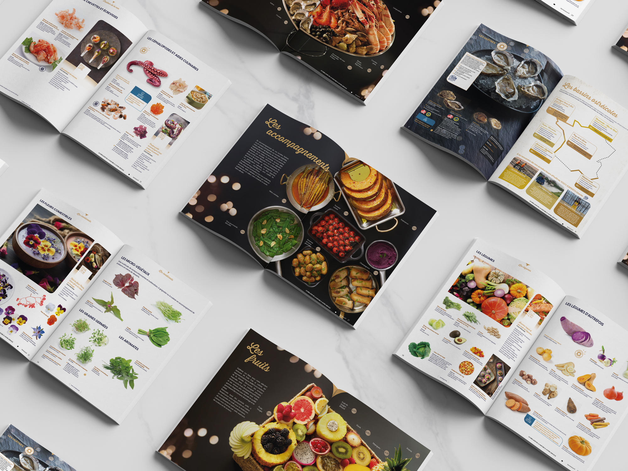 L'agence Bee Happy accompagne TerreAzur depuis plusieurs années sur des sujets de création print et digital.