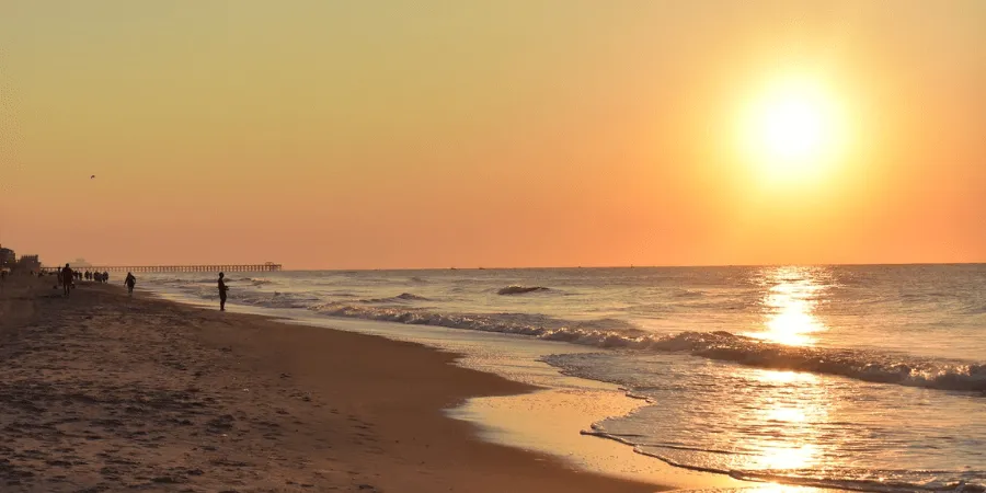 SOUTH CAROLINA PUBLIC SALARY DATABASE visual data 7