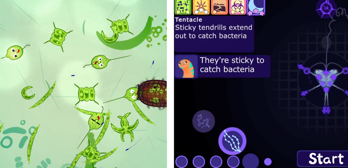 Screenshots from Aggi's Tiny Friends, featuring green protists with a cartoon graphic, and the character Aggi saying "They're sticky to catch bacteria"