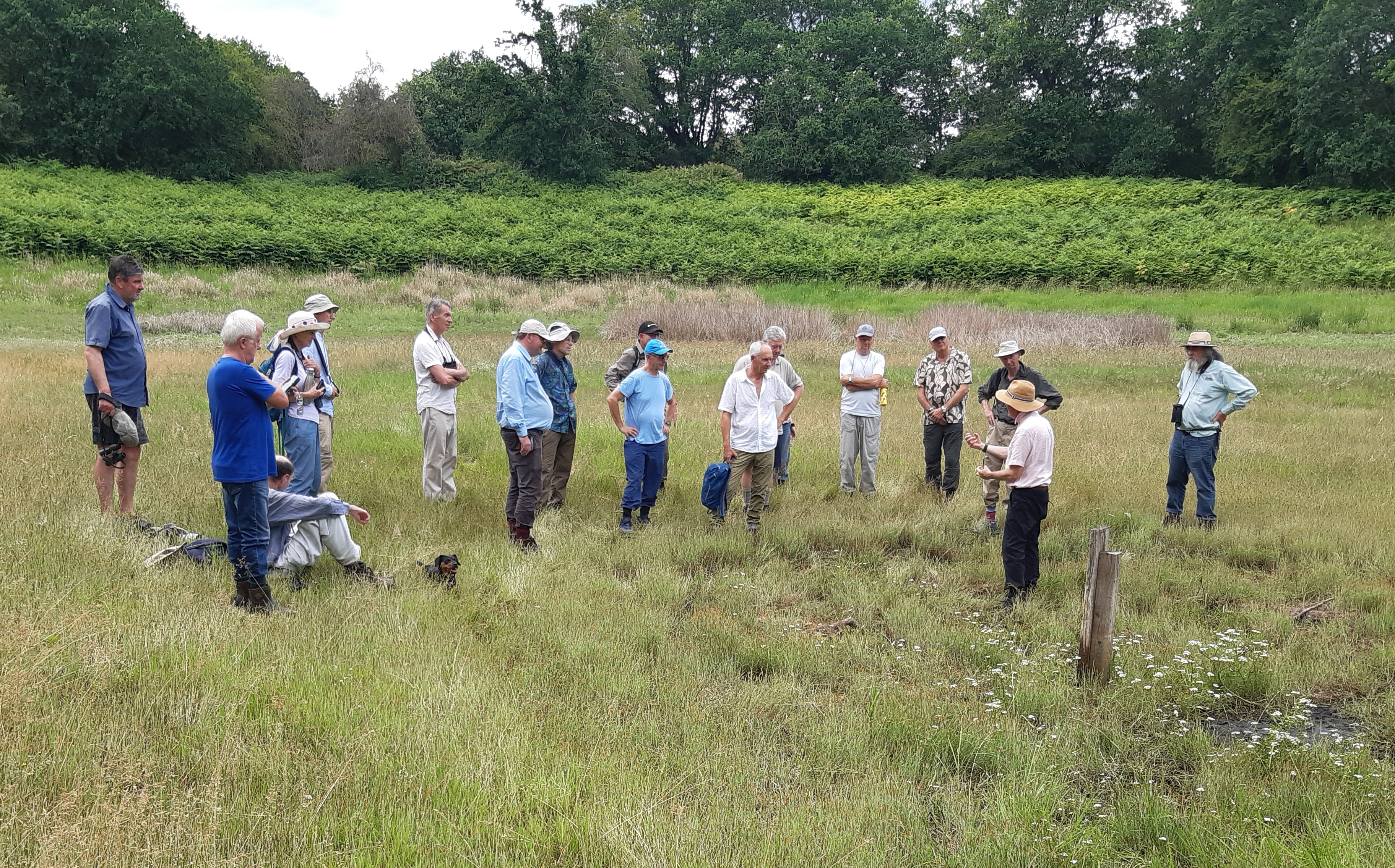 ENV78 Alumni out in a field for a site visit