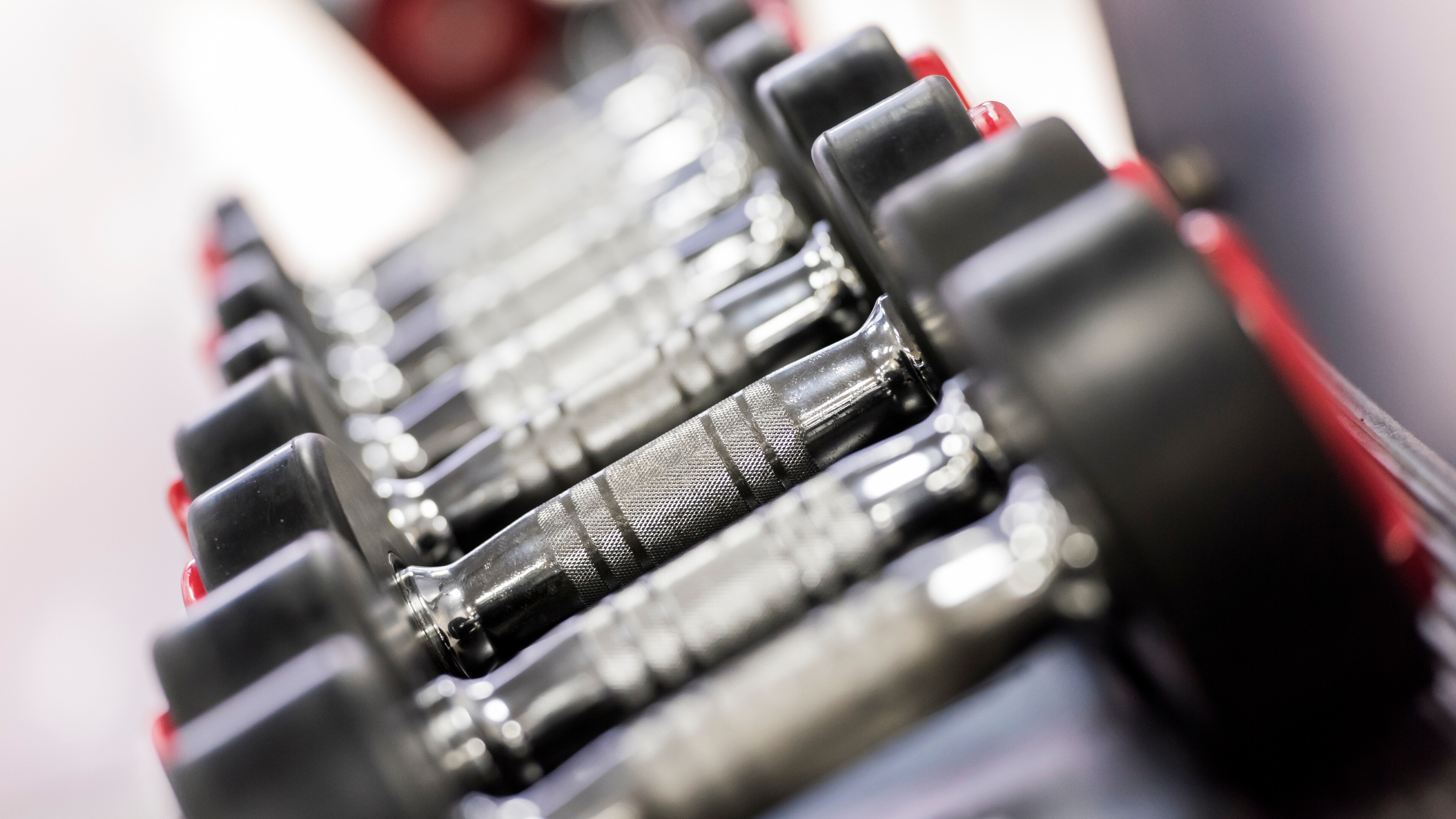 Dumbbells on the rack at the gym