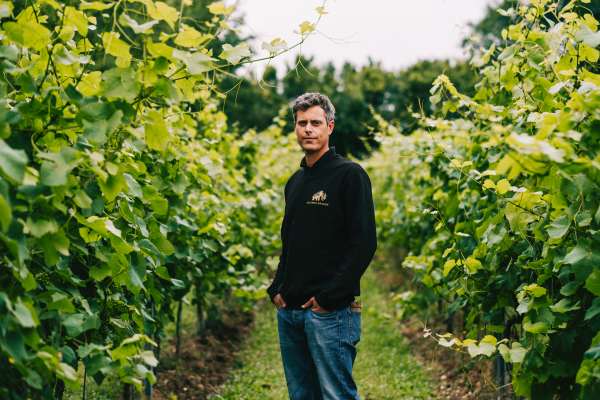 Vineyard manager Paul Harrison at Saffron Grange