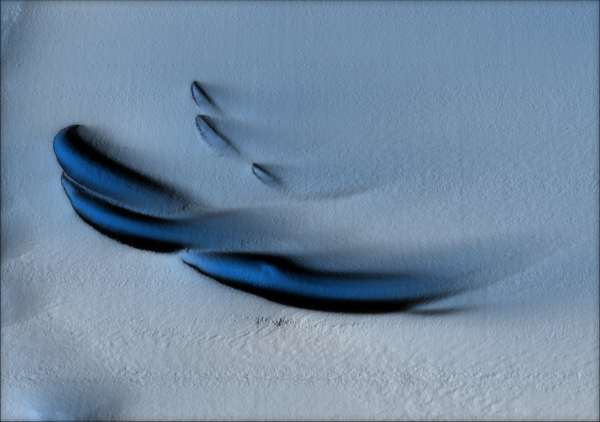 One of the images captured of the underside of the ice shelf