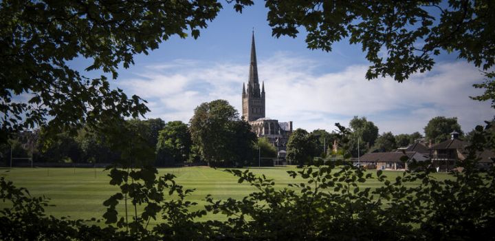 View of Norwich cathedral with a tall spire, framed by lush green trees and open lawn in the foreground under a blue sky.