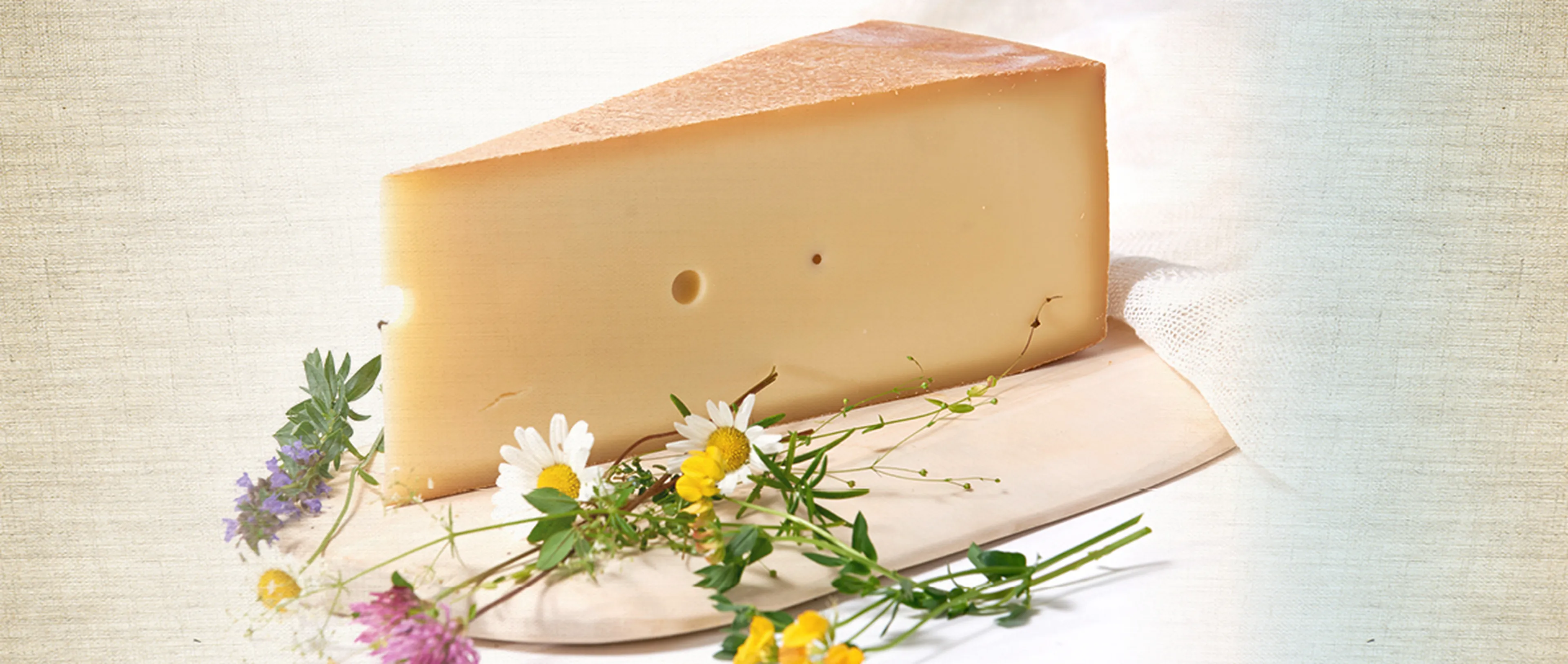 Käse Home