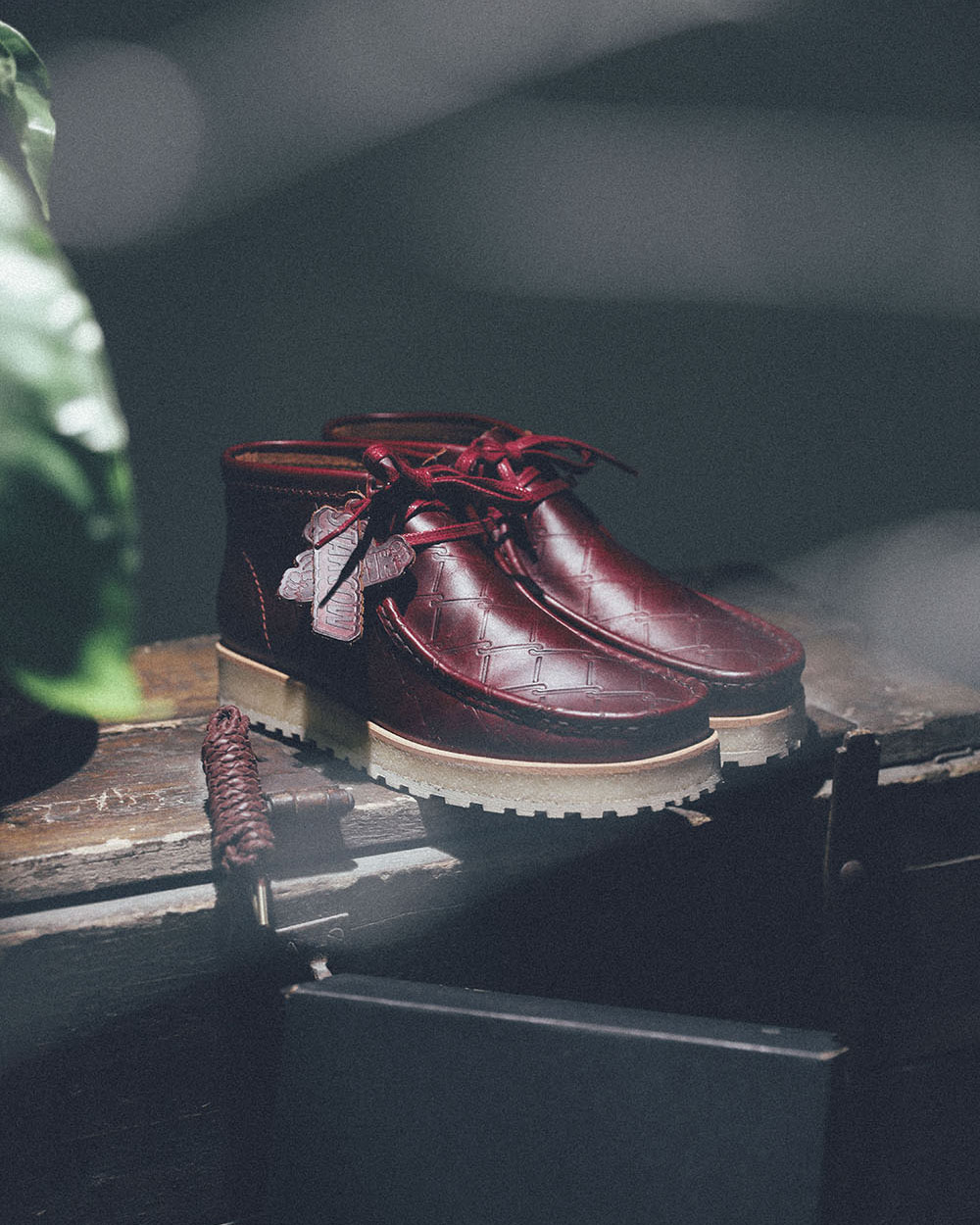 banniere-web-clarks-x-starcow