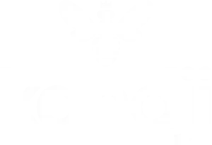 Kandji logo