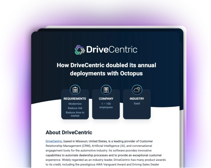download pdf DriveCentric image casestudy image