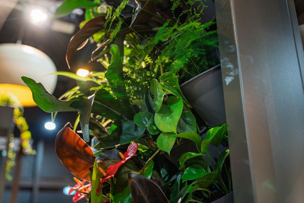 De Groene Sector Vakbeurs