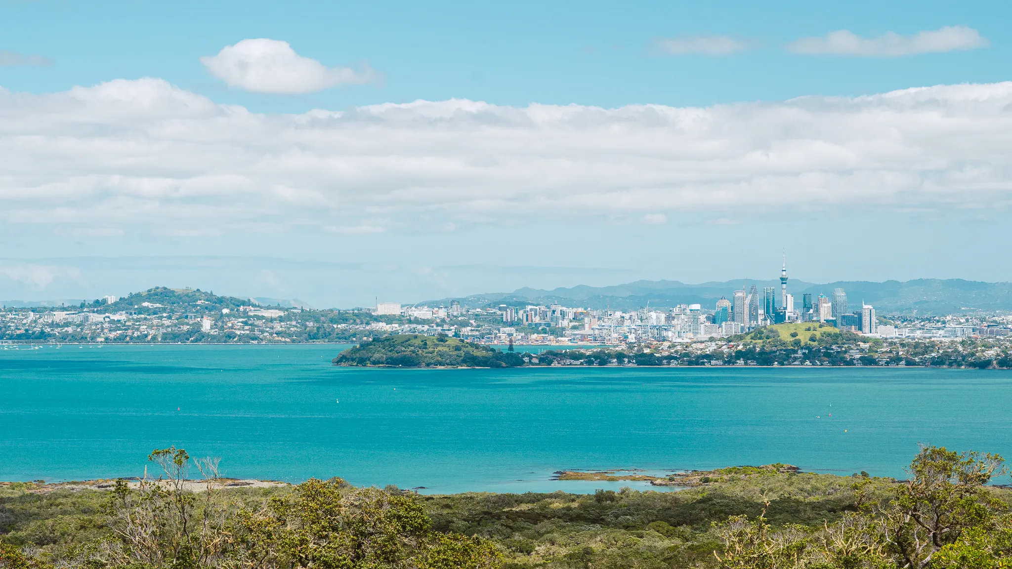 Rangitoto Trip