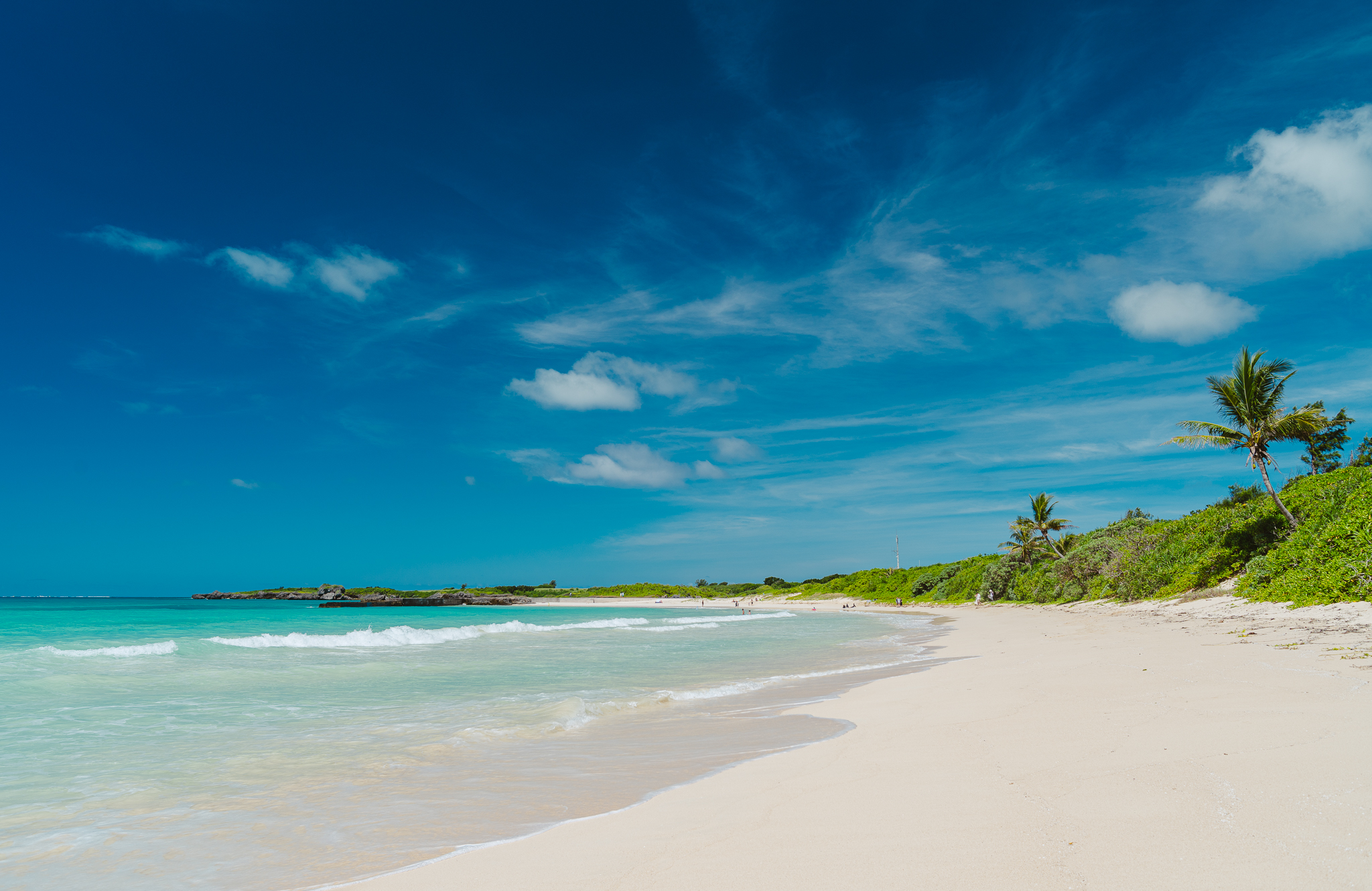 Crystalline turquoise sea with palm trees and white sand beach
