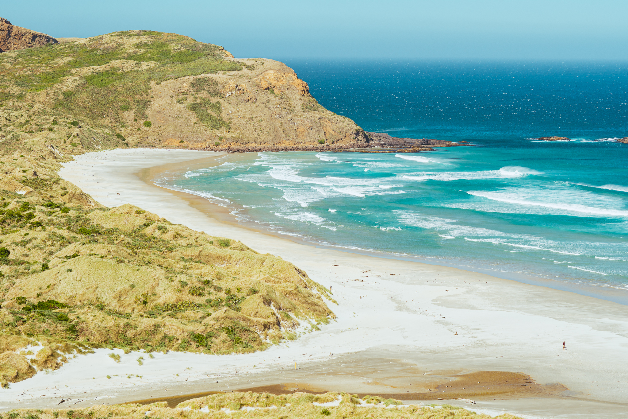 A scenic coastal view of Sandfly Bay with turquoise waves crashing on a sandy beach, surrounded by grassy cliffs under a clear blue sky.