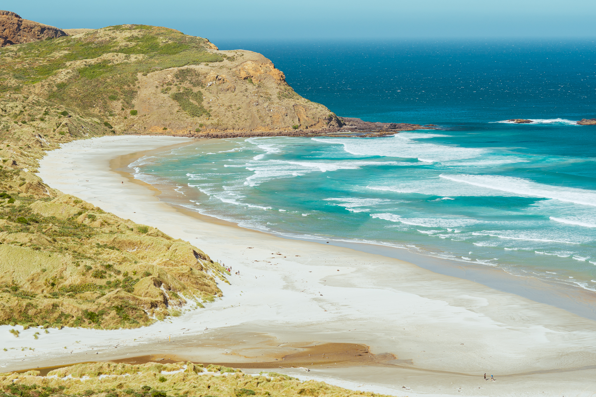 A scenic coastal view of Sandfly Bay with turquoise waves crashing on a sandy beach, surrounded by grassy cliffs under a clear blue sky.
