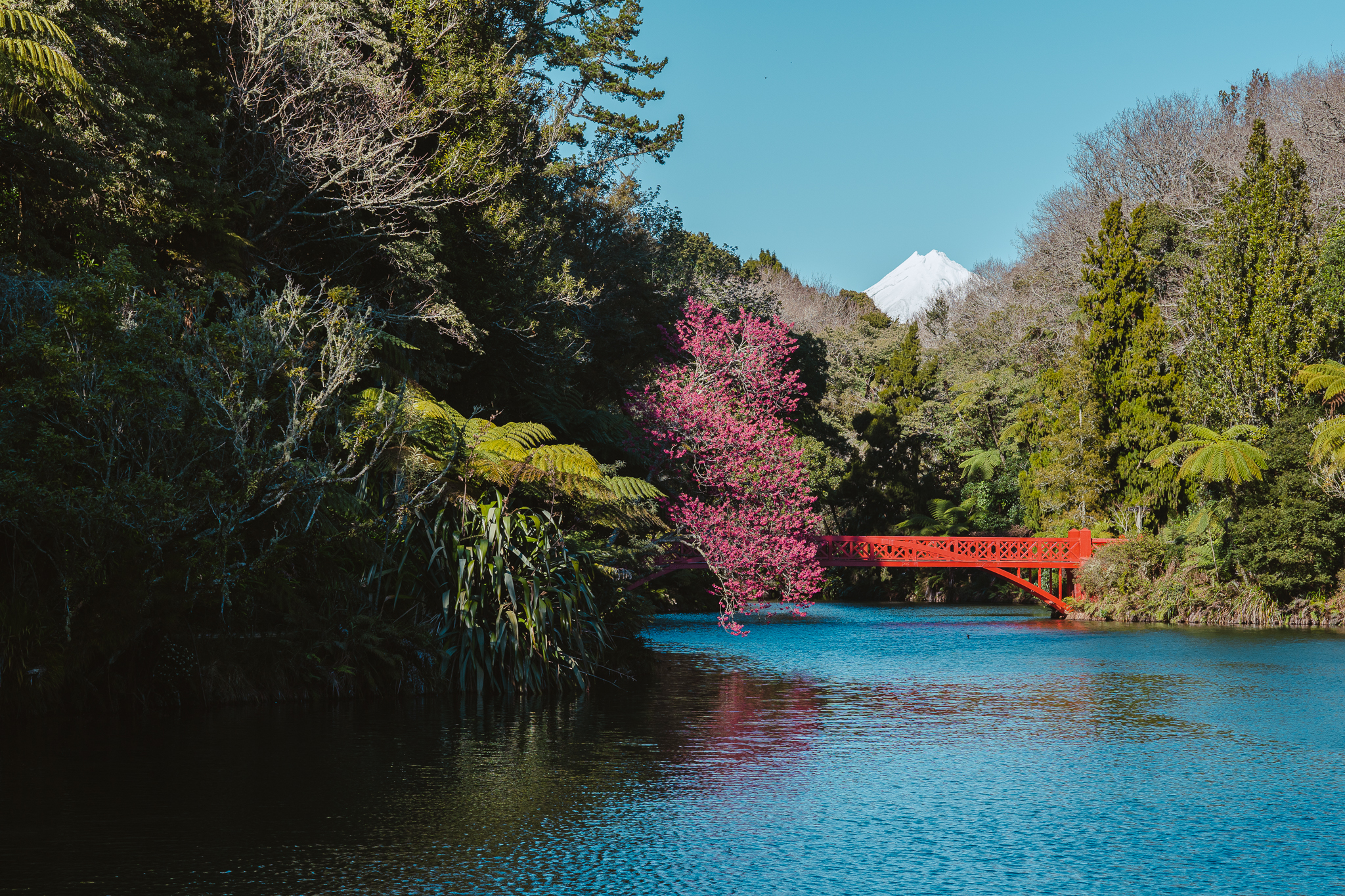 A red bridge spans a tranquil river with pink blossoms, surrounded by lush greenery, under a clear blue sky with a distant snow-capped mountain.