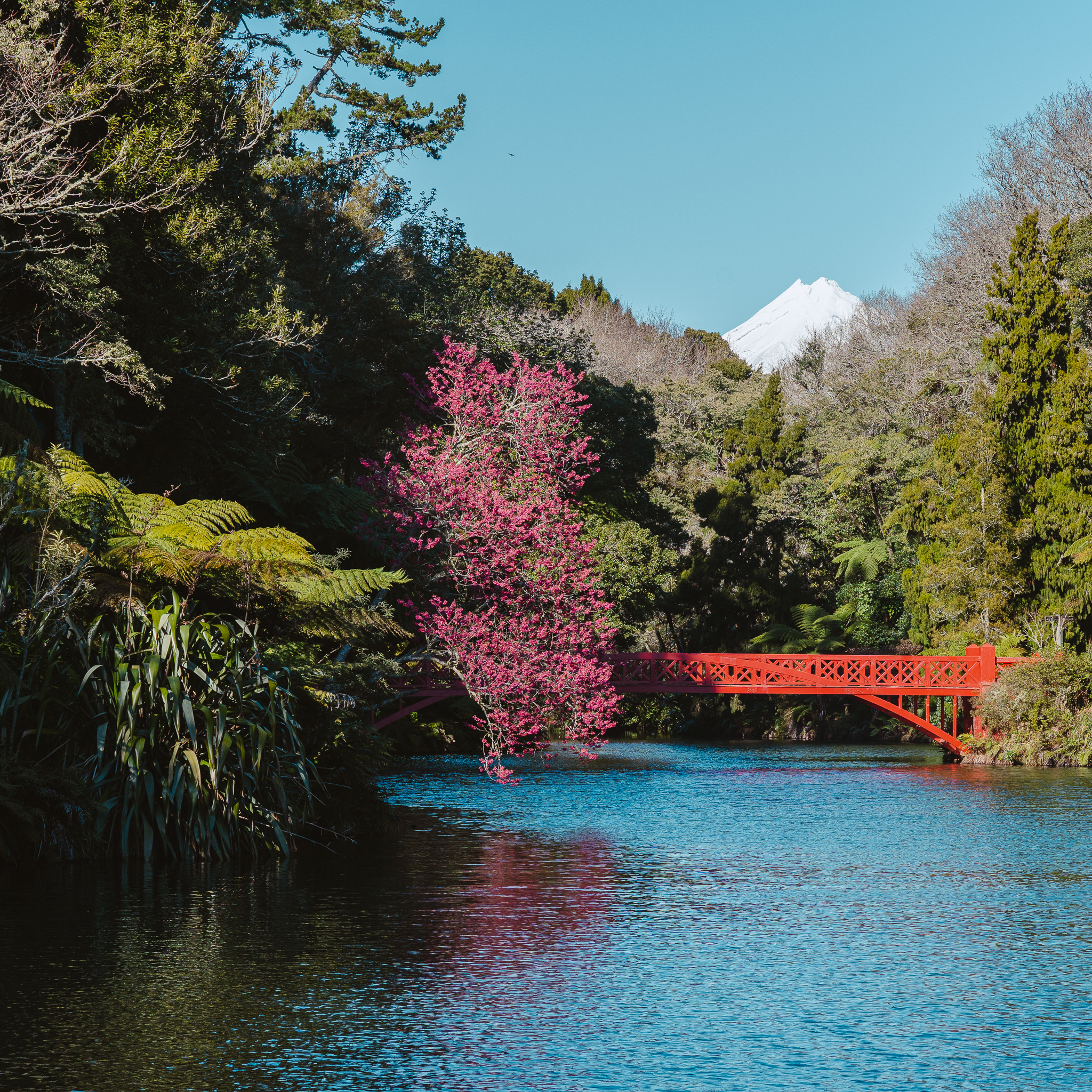 A red bridge spans a tranquil river with pink blossoms, surrounded by lush greenery, under a clear blue sky with a distant snow-capped mountain.