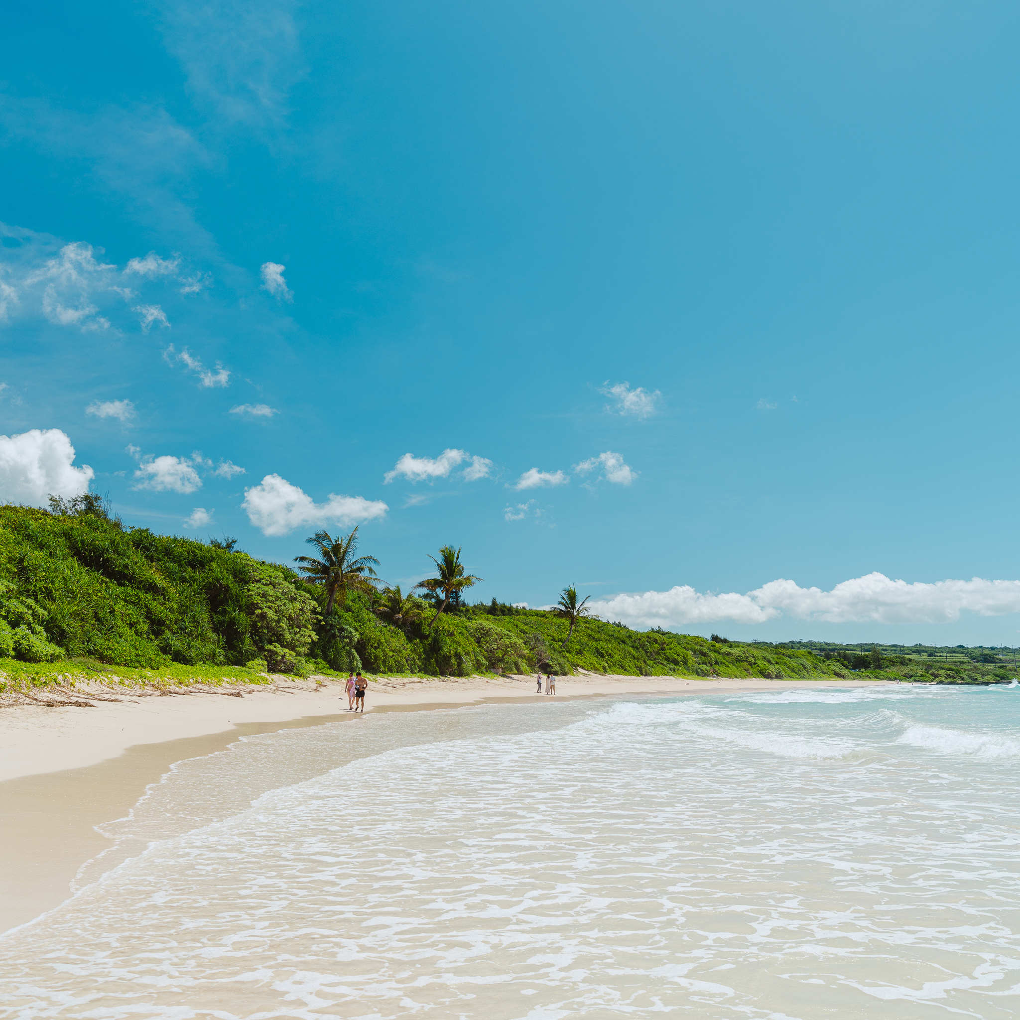 Crystalline turquoise sea with palm trees and white sand beach