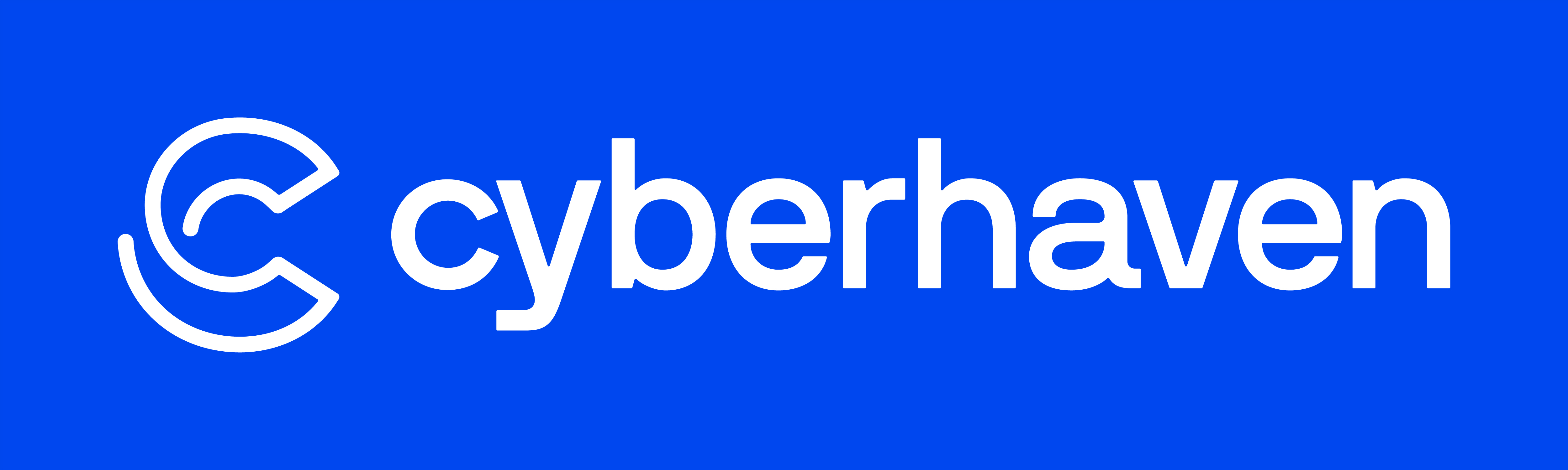 cyberhaven