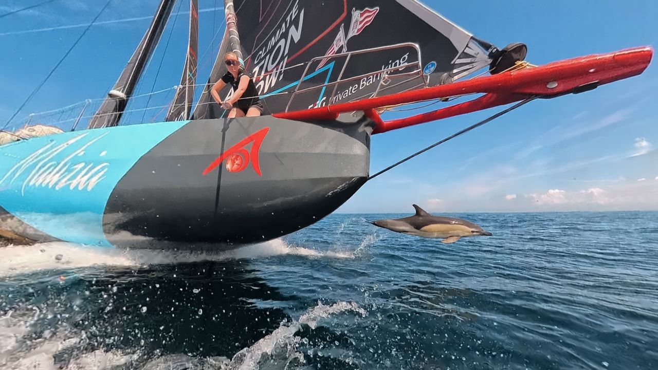 Onboard reporter Flore Hartout capturing photos yesterday of Team Malizia's frequent companions, the dolphins
